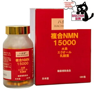 yAj}[gzO@NMN15000@120Kiۏ؁@