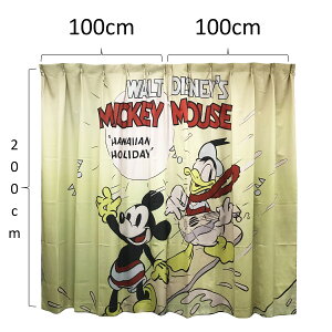 yVzSAZAC TUbN fBYj[ J[e 100x200cm V CeA ͗lւ  킢 z l炵 q LN^[ Jt   KCZXi 