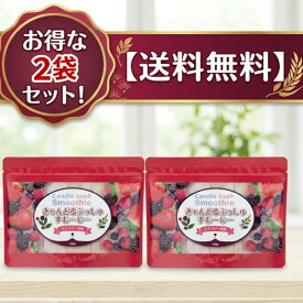 お買い得2袋セット　サイリウムハスク スムージー ★200種以上のフルーツ&野菜酵素きゃんどるぶっしゅスムージー180g30日分美味しく置き換えラズベリー風味　ダイエット 難消化性デキストリンレッドスムージー酵素　サイリウムハスク末 コエンザイムQ10