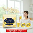 【強烈スッキリ！】ストロングレモンスムージー 100億個の乳酸菌 贅沢配合 キャンドルブッシュ 11種のビタミン 菌活 …