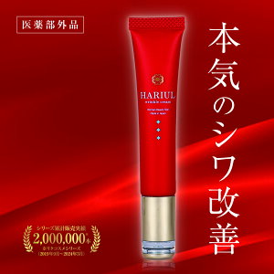 VPN[ 򕔊Oi iCAVA~h p V~ V ΂ ڌ    ł n  NPA قꂢ   r  L΂ XL