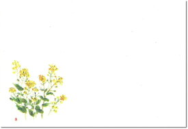テーブルマット　＜銀龍＞　菜の花　T−106（100枚入り）