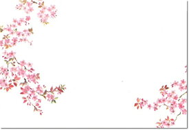 テーブルマット　＜銀龍＞　桜1　T−108（100枚入り）