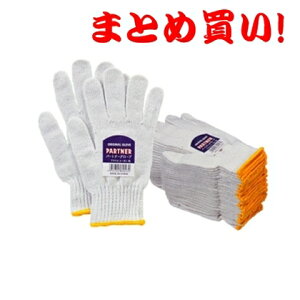 p[gi[u[R@258i10_[Xjy܂Ƃߔz