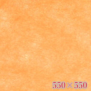 ysDzC~zss@n@IW@550×550@i20j