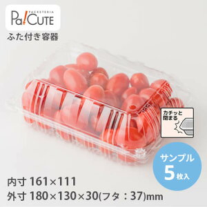 【サンプル商品:VA-400(OPS)】青果 容器 業務用 プチトマト ミニトマト トマト 青果物 野菜 果物 青果用 フルーツ 少量 透明 出荷パック プラスチック容器 食品包材 とまと みにとまと ケース