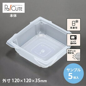 【サンプル商品：カフェキュートBOX中皿(PPN)】テイクアウト 容器 おしゃれ 業務用 ランチボックス 容器 使い捨て どんぶり ランチケース 弁当箱 テイクアウト デリバリー おかず 使い切り 2段弁当 エコ
