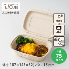 楽天市場 ランチボックス 使い捨ての通販
