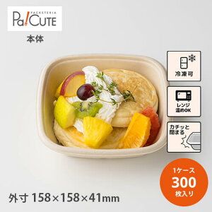 【SBT-パルプモールド6インチ角深底トレイ】バガス フードパック テイクアウト 容器 おしゃれ サラダ お弁当箱 容器 紙容器 紙トレイ 紙 ボックス 食品容器 ランチボックス 丼 業務用 使い捨