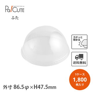 y84Ӕh[t^zyP 6.45~×2000zfU[gJbv ĝ vX`bN  ptFJbv vJbv [[Jbv  킢 Ɩp fU[ge [[e v