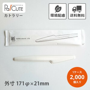 ySBT-iCt()17cmzyP 11~×2000zĝăiCt iCt ĝ Jg[  z AR nɂ₳ GR g Lb`J[ eCNAEg Ɩp 