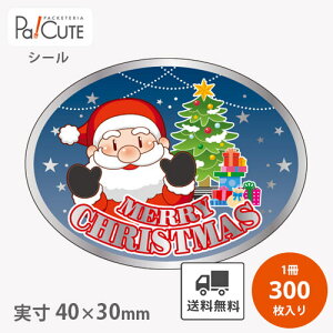 yMERRY/CHRISTMAS(C-466)zyP 6.25~×300zNX}X V[ x XebJ[ bsO  Mtg v[g  َq mَq P[L XC[c  ĝ Ɩp