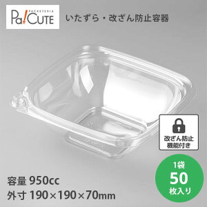 ySJ732BzyP 62~×50zt[hpbN h~e zٓ T_ ٓ e T_e h~ fo[ eCNAEg  Ɩp `{bNX ĝ 