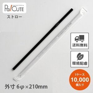 yBio-PE 50 tbNXXg[6×210ܓ(B)zyP 2~×10000zXg[ Ɩp ĝ GR  IV  킢 eCNAEg JtF  hN ĝ