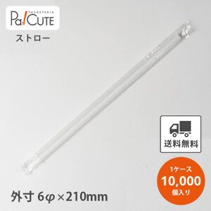 yXg[gXg[6×21cm  tBzyP 1.75~×10000zXg[ Ɩp ĝ GR  IV  킢 eCNAEg JtF  hN g