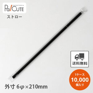 yXg[gXg[6×21cm  tBzyP 1.75~×10000zXg[ Ɩp ĝ  IV  킢 eCNAEg JtF  hN ĝăXg