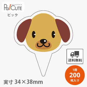 ysbN(D-0591)zyP 13.7~×200z  sbN ʃsbN   P[LsbN XC[c ̑i bsO  Mtg v[g   ĝ Ɩp 