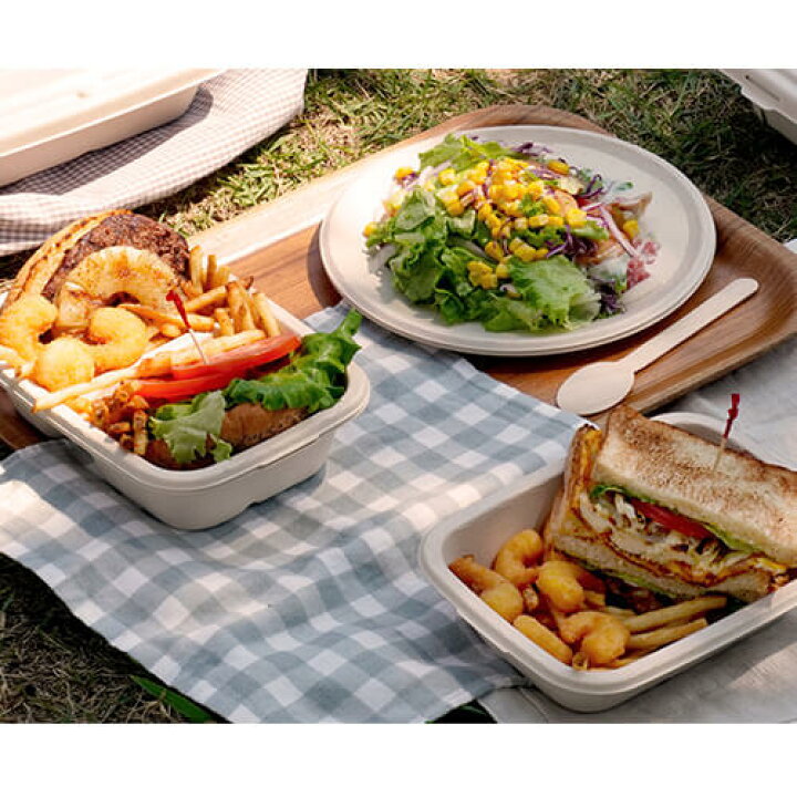 楽天市場】【Meal Box900 2仕切 本体】【枚単価 67円×600枚】使い捨て 