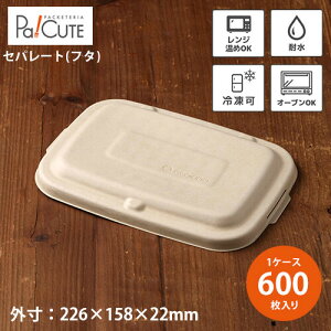 yMeal Box900 ʊWzyP 20~×600zt^ ӂ ĝ ٓ `{bNX ĝ eCNAEg e  t[hpbN ĝėe ٓ Ɩp  ٓe Ⓚ 