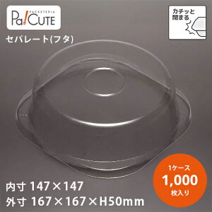 yP[LBOX No.9t^(APET) zP[Le Ɩp fU[ge eCNAEg ĝėe vX`bNe mَq XC[ce g[ pbN { 