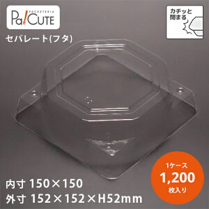 yP[LBOX No.13t^ zP[Le Ɩp fU[ge eCNAEg ĝėe vX`bNe mَq XC[ce g[ pbN { 