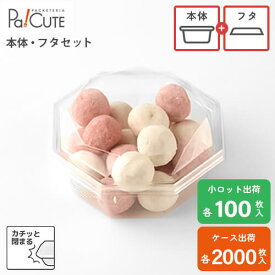 【セット商品：FS-11 本体・フタ】サラダ お弁当箱 容器 ケーキ容器 業務用 デザート容器 テイクアウト 使い捨て容器 プラスチック容器 洋菓子 スイーツ容器 トレー パック 日本製 おしゃれ