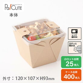 【ランキング1位獲得】【カフェキュートBOX本体（茶）】テイクアウト 容器 おしゃれ 業務用 ランチボックス ランチケース 弁当箱 容器 使い捨て どんぶり テイクアウト デリバリー 2段弁当