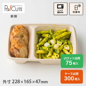 ySBT 22.8×16.5cm؂pvgC54oz 6×9zz t[hpbN eCNAEg T_ ĝĕٓ W  e gC  {bNX Hie `{bNX  Ɩp 