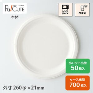 paper plates 10 inch  JChere Japanese Proxy Service