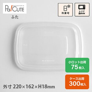 ySBT-PPW21.5×15.8cm pvgCpzt[hpbN eCNAEg e  e gC  {bNX Hie Lb`J[ `{bNX  Ɩp ĝ e dqW