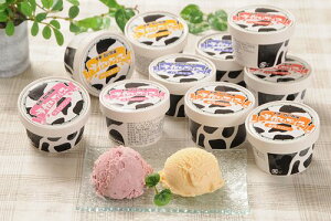 kC@VNȋgkĈՂ@\qÂACX11yyŁz