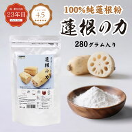レンコンパウダー280g たっぷり 100％無添加【蓮根の力】（蓮根粉）れんこんパウダー レシピ 野菜粉末 食…