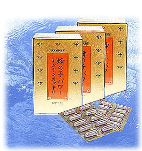 I̎qp[~~XbL3Zbg A~m_ƖLxȃ~lMbVIyyŁz 