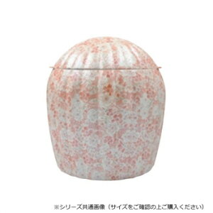 ���� ���� �L�c�� 3.0�� ����s���N ���{�� ������ �N�₩ �ׂ��ȊG�t�� ������ 90x90x120mm 280g 32B430009v072