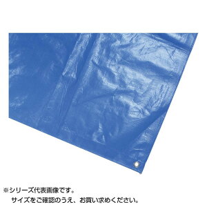 Llbg hJo[V[g 5.4×5.4m u[ 3000 11041y[J[z1qhc6i