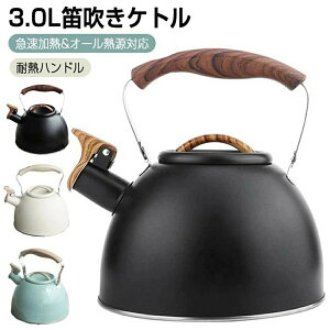 Pg JPg ₩ 3.0L e   |bg  k ؐnh e L R[q[ eB[|bg IHΉ XeX Lb`