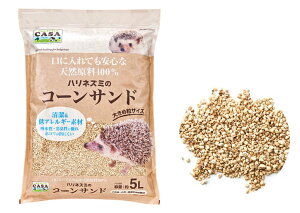 w CASA nlY~̃R[Th 5L x nlY~ ~  gC