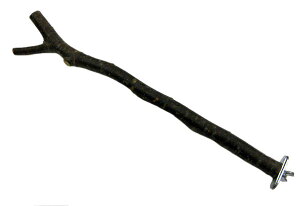 salew ߋtƂ܂ x SBSR[|[V IWi p R