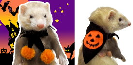 ハロウィーンマント SBSコーポレーション