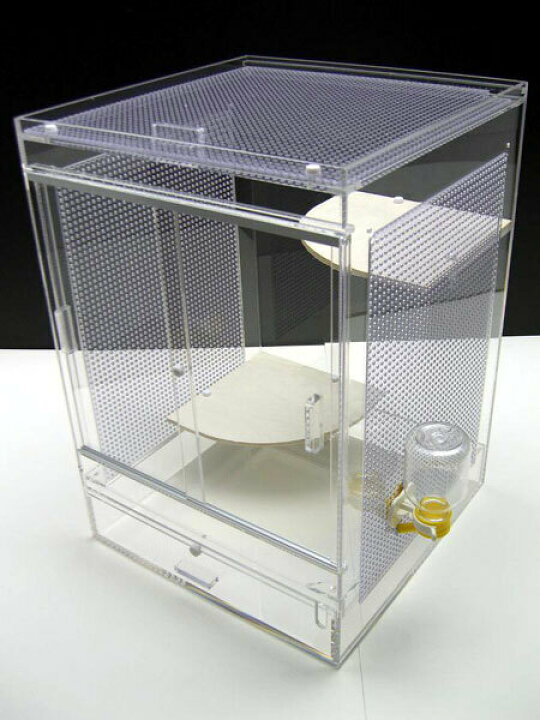 楽天市場】『 SBSアクリルモモンガケージ 【 シンプルAセット  