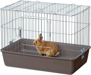 w Ɏ rO[ uE L TCY x }J ~j}h pP[W