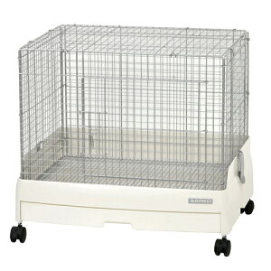 w C[W[z[60[bVizCgj x OW pP[W