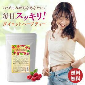 セレクトビューティー 【公式】 デトックティー・プロ 30包 30杯分 ダイエットティー ハーブティー ローズヒップ ラズベリー ルイボス コラーゲン スパイス配合 ダイエット茶 スッキリ解消 便通 腸活 健康茶 温活 食物繊維