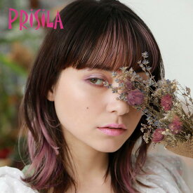 【 送料無料 】 プリシラ インナーエクステ エクステ ワンタッチ 自然 バレない ロングヘア ミディアムヘア ショートヘア ボブ アップヘア レディース ミセス 前髪 ボリュームアップ 医療用 白髪 隠し 軽量 PRISILA ix-01