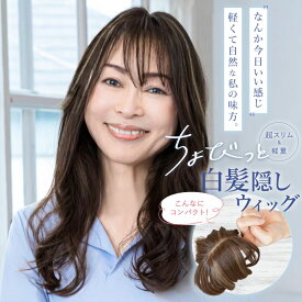 【 送料無料 】 部分ウィッグ 白髪隠し ヘアピース ショート 自然 レディース プリシラ 耐熱白髪かくしウィッグ(つむじタイプ) ST-004 白髪隠しウィッグ 分け目 前髪 白髪カバー ミセス シニア PRISILA st-012