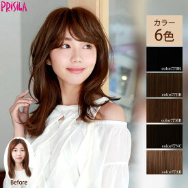 【 送料無料 】 プリシラ ウィッグ エクステ ワンタッチ 自然 バレない ロングヘア アップヘア ハーフアップ ポニーテール レディース ミセス 女性 前髪 ボリュームアップ 医療用 黒髪 白髪 隠し 軽量 耐熱 PRISILA gb-01
