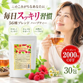 スーパーSALE限定2000円クーポン！ セレクトビューティー 【公式】 デトックティー・プロ 30包 30杯分 ハーブティー ローズヒップ ラズベリー ルイボス コラーゲン スパイス配合 健康茶 食物繊維 紅茶 難消化性デキストリン 56種 ブレンドティー