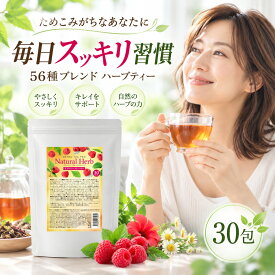 セレクトビューティー 【公式】 デトックティー・プロ 30包 30杯分 ハーブティー ローズヒップ ラズベリー ルイボス コラーゲン スパイス配合 健康茶 食物繊維 紅茶 難消化性デキストリン 56種 ブレンドティー 個包装 母の日 敬老の日 誕生日