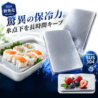 ★食材の持ち歩きに★ステンレス保冷剤 スポーツ 飲み物 冷凍対応 車中 保冷パック 暑さ対策 小型 持ち運…