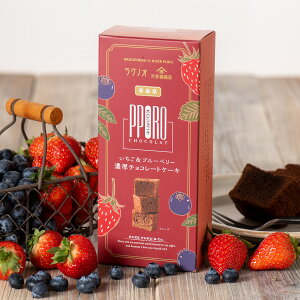 �y�G�ߌ���z�|���V���R���@�{�錧�Y���������u���[�x���[